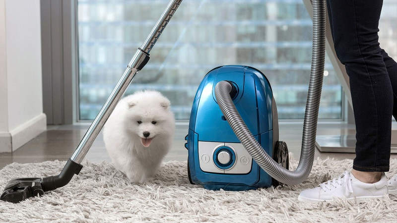 Carpet Care And Cleaning Advice For Pet Owners