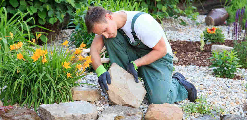 Essential Tips for Landscaping