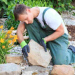 Essential Tips for Landscaping