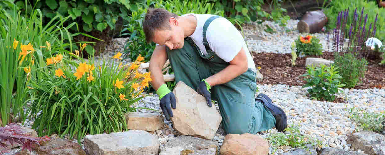 Essential Tips for Landscaping